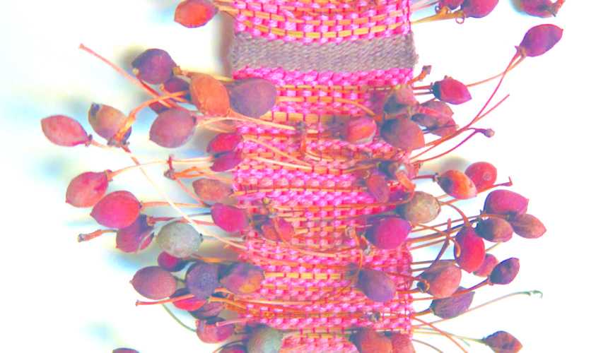 CERISES-qui-tombe D’ici et d’ailleurs