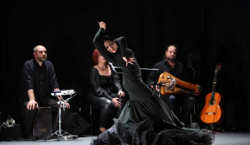 flamenco Le Flamenco à l’honneur