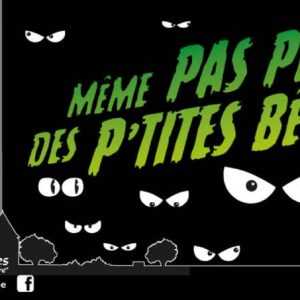 Même pas peur des P’tites Bêtes ! au musée de l’Erdre à Carquefou