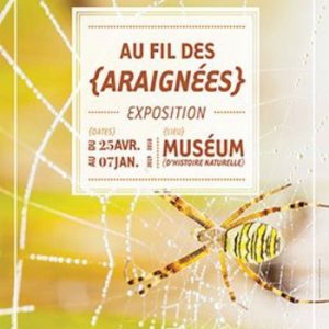 Expo « Au Fil des Araignées » du 25/04 au 07/01 au Muséum d’Histoire Naturelle