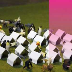 “Birdie” au lieu unique à Nantes les 05 et 06 mars