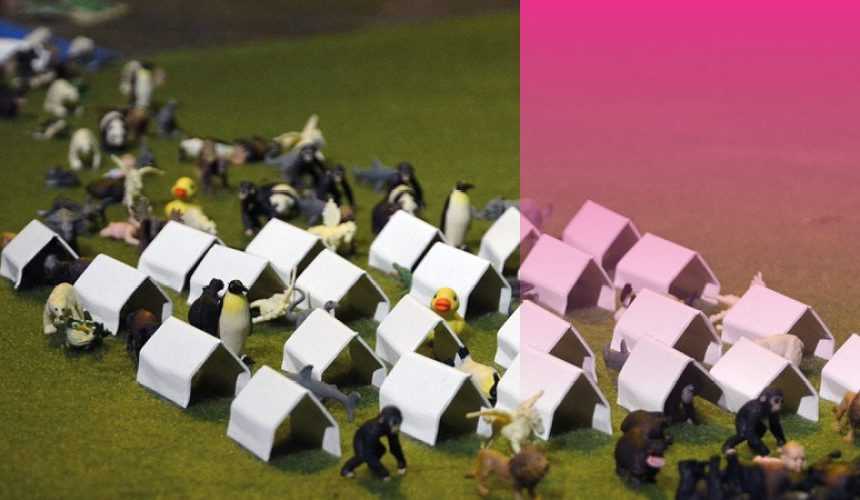 “Birdie” au lieu unique à Nantes les 05 et 06 mars