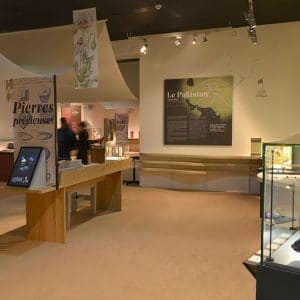 Exposition : « Retour d’Orient : soie, épices et pierres précieuses » au Muséum d’Histoire Naturelle de Nantes