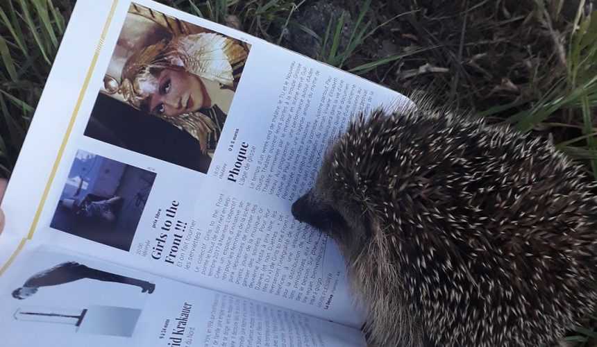 34815560_979595972221641_6413163785346875392_o Fête foraine, Block party, cinéma, concerts, théâtre, gagnez vos places avec Grabuge !