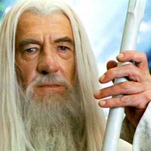 bouc journée de la barbe