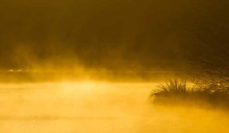 musée de l'erdre carquefou