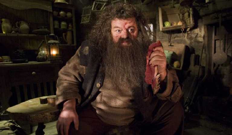 test quel confine etes vous Test : Que(lle) confiné(e) êtes-vous ?