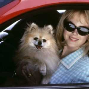 BluRay : “Prête à Tout” de Gus Van Sant