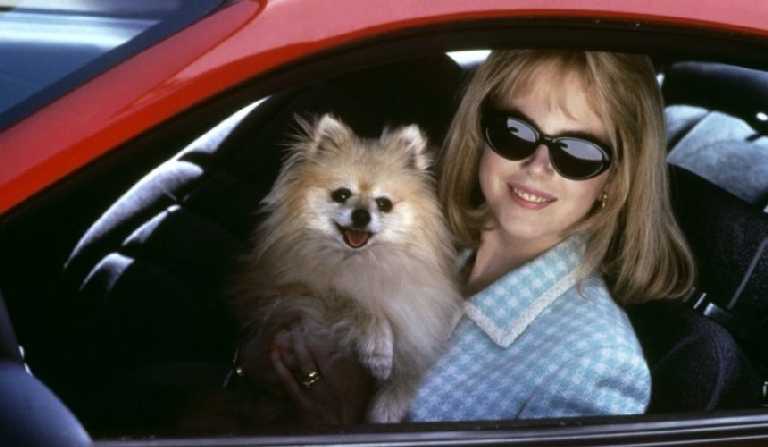 prete a tout gus van sant BluRay : “Prête à Tout” de Gus Van Sant