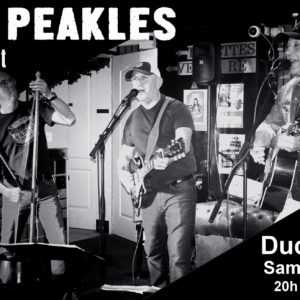 Peakles en concert Peakles en concert