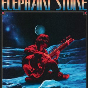 Elephant Stone / guest – Nantes