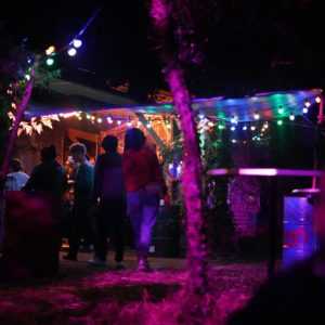 Le Chant du Tombereau : Hola Laurel + Habile Bill + Sir Edwards + Hinin Hayon + The Soap Opera + Butterfly Bulldozer + Basic Partner + Crimesex + BOUGON BOUGON