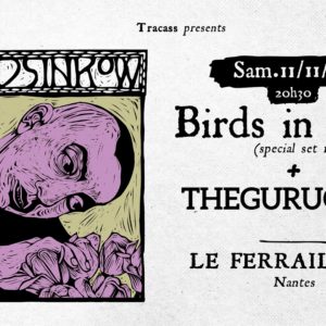 Birds in Row + TheGuruguru @Nantes (Show 1) + After !