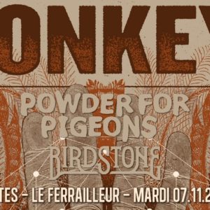 Monkey3, Powder for Pigeons, Birdstone // Nantes