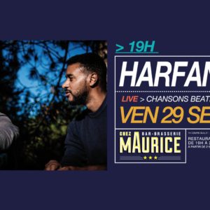 Harfang Chez Maurice