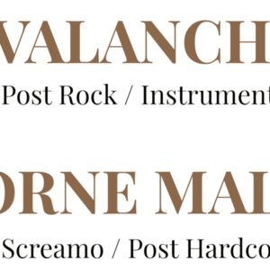 Avalanches + Lorne Malvo @ Painbar (concert de soutien à Splann)
