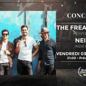 THE FREAKY BUDS • NEIGE • BLACK SHELTER • CARQUEFOU THE FREAKY BUDS • NEIGE • BLACK SHELTER • CARQUEFOU