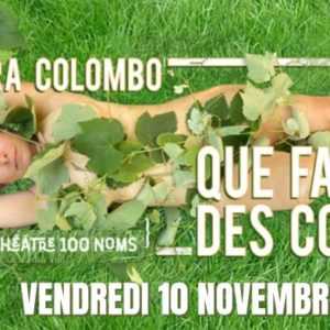 SANDRA COLOMBO | QUE FAIRE DES CONS ?