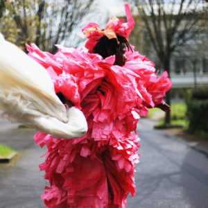 Parade Mer Plastique I Tidiani N'Diaye I TRAJECTOIRES #7 Parade Mer Plastique I Tidiani N’Diaye I TRAJECTOIRES #7