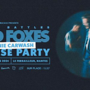 Mad Foxes + Johnnie Carwash @Le Ferrailleur / Nantes