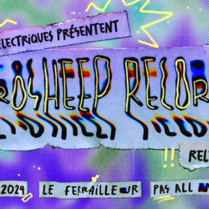 Les Moutons Électriques présentent: Aerosheep Records release party