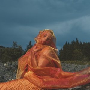 Concerts, spectacles, exposition, cinéma, quoi faire à Nantes du 24 au 30 novembre 2025 ?